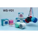 WSTER RADIO WS-Y01